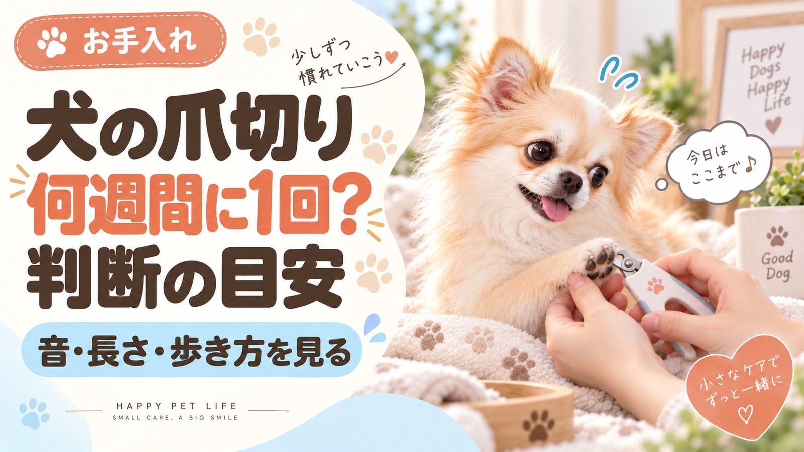 爪切りをする小型犬の足先と、音・長さ・歩き方で判断するポイントのサムネイル