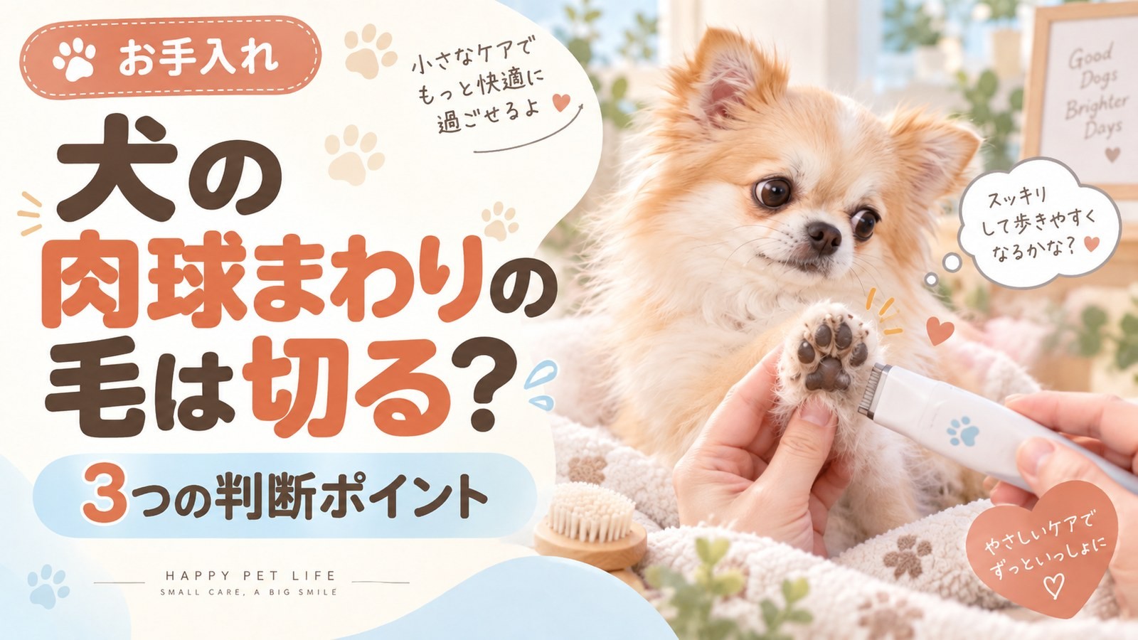 肉球まわりの毛を整える小型犬の足と、滑り・汚れ・皮膚の判断ポイントのサムネイル